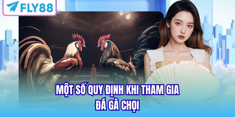 Một số quy định khi tham gia đá gà chọi